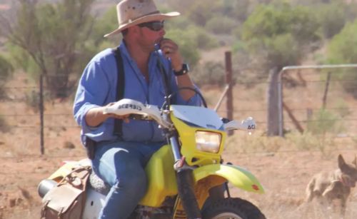 RFDS article
